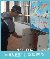 海口市二十六小12月13日白蟻防治