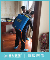 海口碧湖豪庭小區(qū)白蟻防治