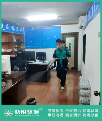 海口椰子派對四害消殺