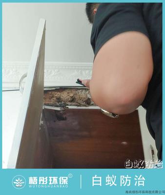 青年路肥弟石墨腸粉店