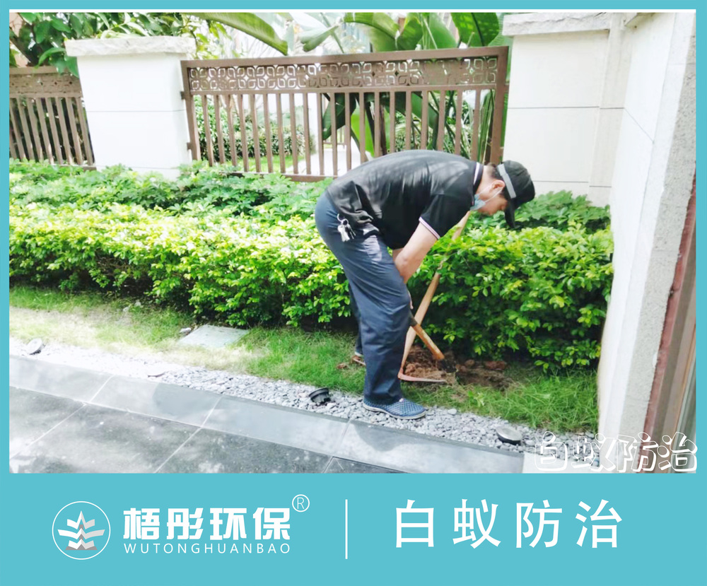 横版照片模板432.jpg