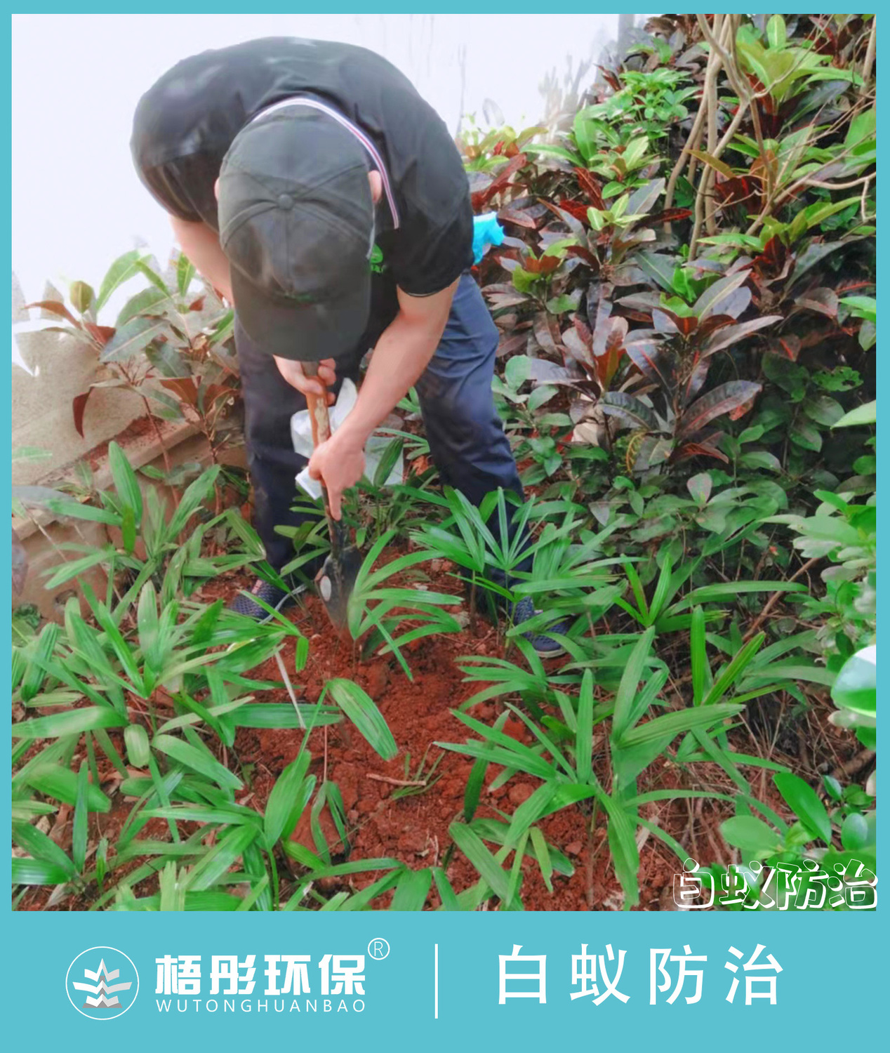 竖版水印.jpg