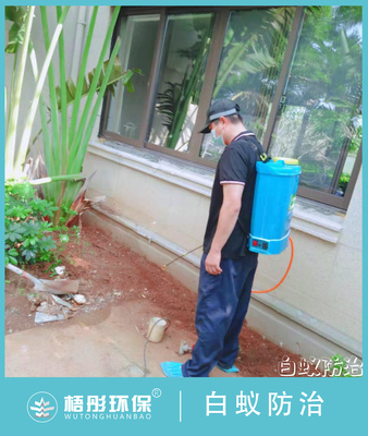 澄迈鲁能海蓝福源西一区白蚁预防