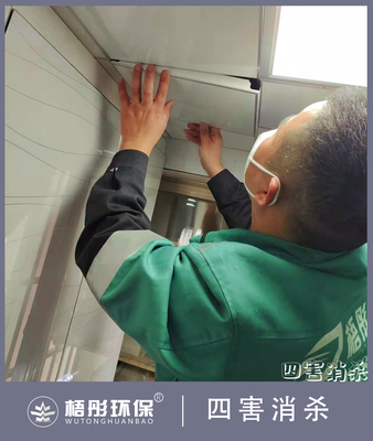 海口椰海新城家庭灭老鼠