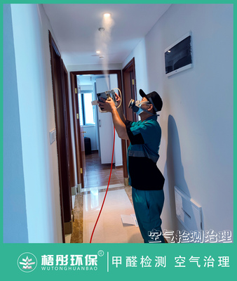 海口美麗沙天璟家庭甲醛治理