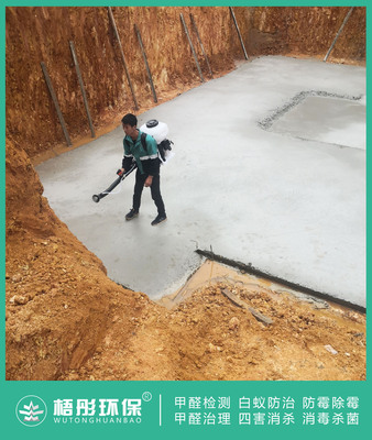 萬寧山海和灣二期2020年11月29日地基白蟻預(yù)防