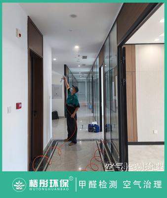 海口恒大美麗沙家庭甲醛治理