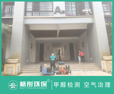 海口愛琴海A座家庭甲醛治理