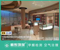 海口美兰机场专柜甲醛治理