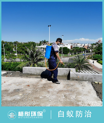 海口魯能椰海白蟻預防