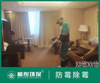 天佑大酒店除霉防霉