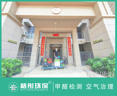 海口五源河公寓甲醛治理