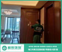 恒大美麗沙除甲醛