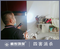 海口江南城家庭灭蟑螂