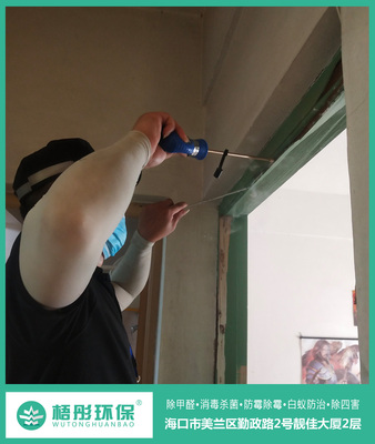萬泉小區住戶白蟻滅治