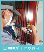 儋州海花島別墅白蟻防治