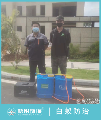 海口觀瀾湖大宅白蟻防治