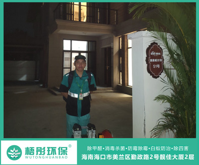 陵水英州碧桂園22街別墅