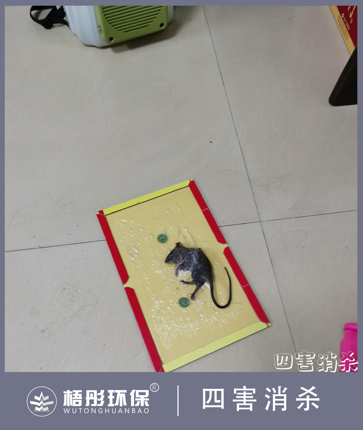 豎版7水印.jpg