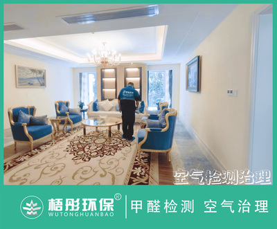 博鰲亞洲論壇XX酒店除霉防霉