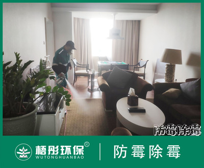 海口天佑大酒店除霉防霉