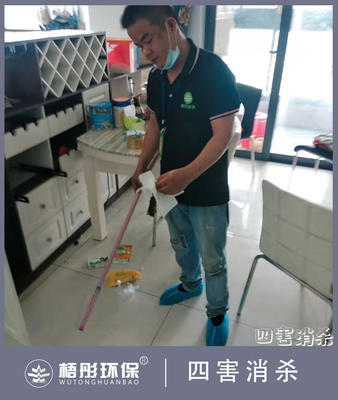 海口恒大外灘滅鼠