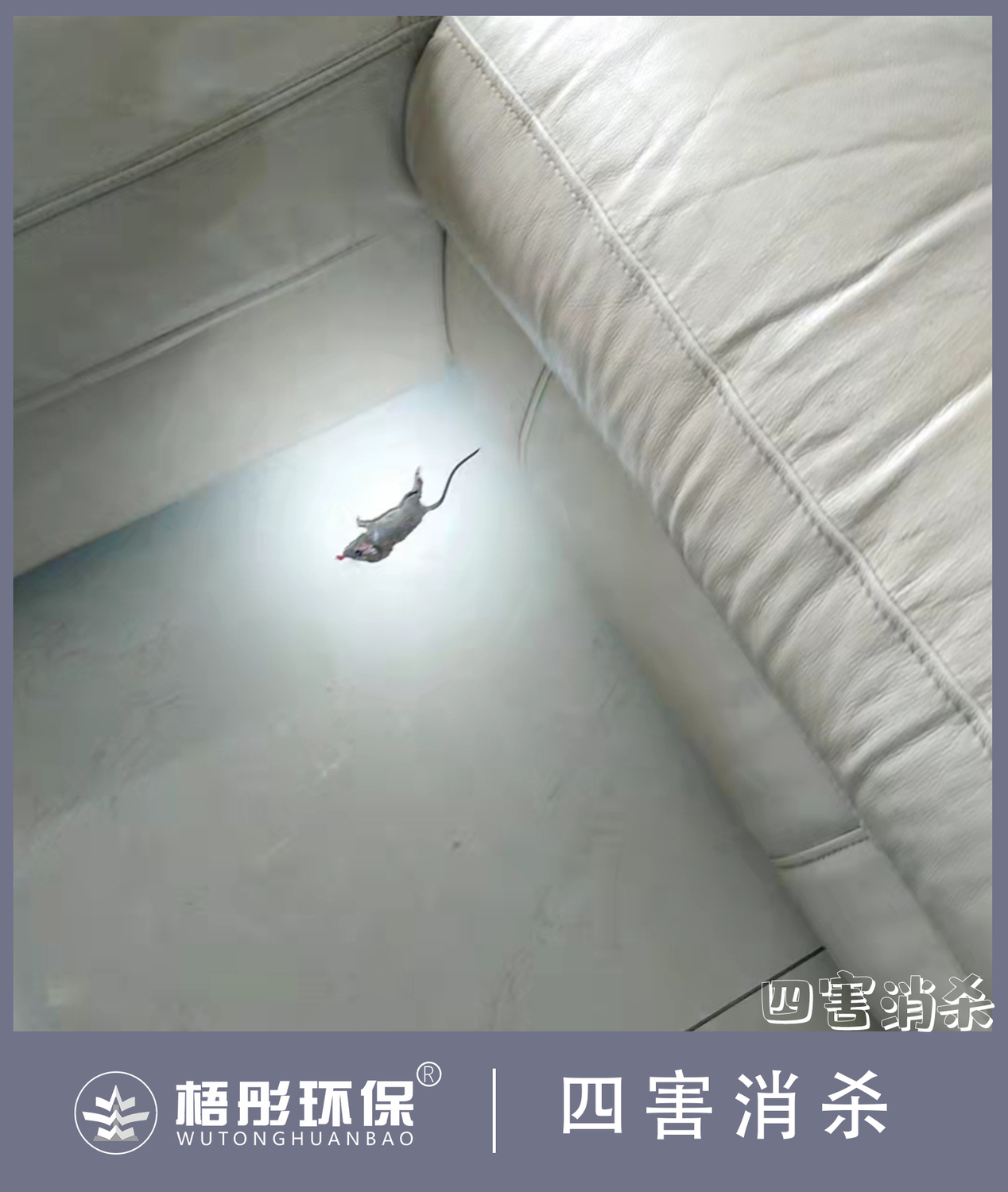 豎版水34印.jpg