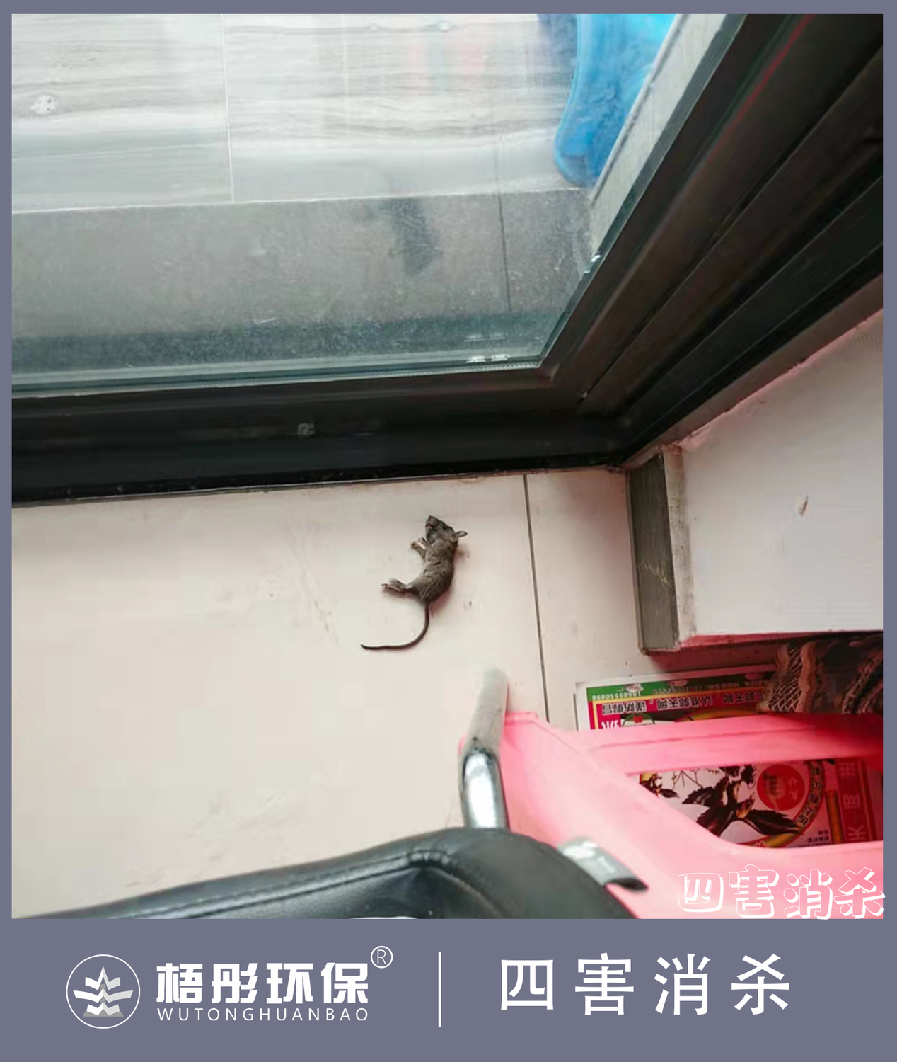 豎版水453印.jpg