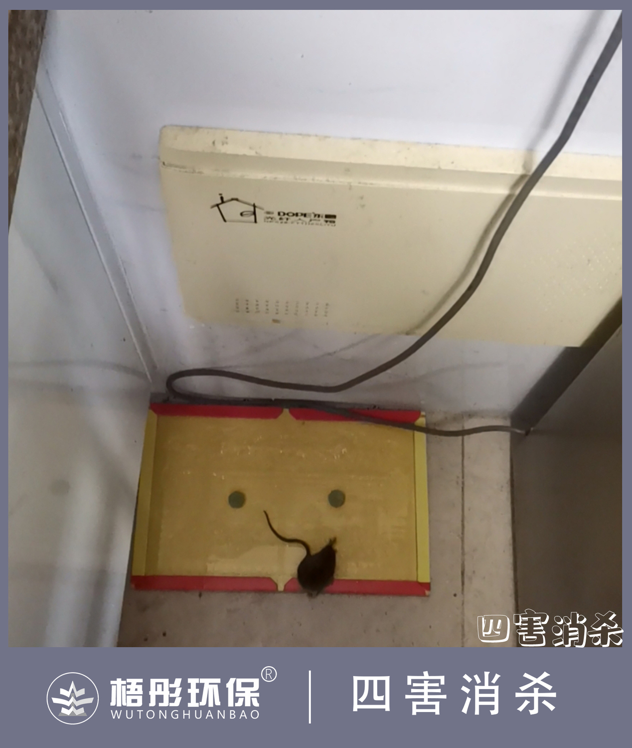 豎版水67印.jpg