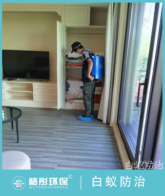 海口魯能椰風白蟻防治