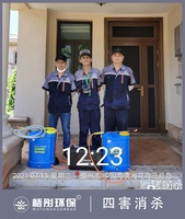 海南儋州海花岛白蚁预防