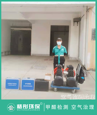 海南省定安縣龍安花園甲醛治理
