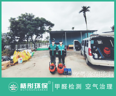 保亭縣七峰醫(yī)院后面民宅甲醛治理