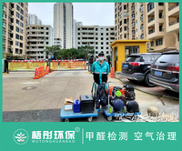 海口美舍嘉宛家庭甲醛治理