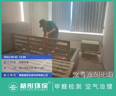 海口龍興公館家庭甲醛治理