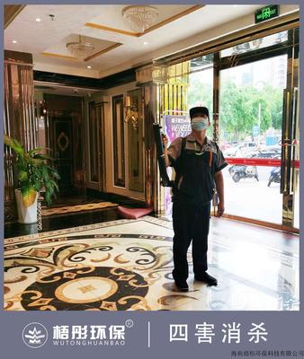 藍天路椰子派對
