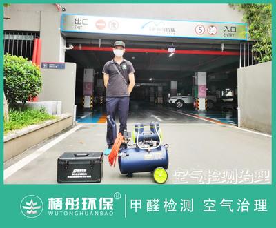 海口金地自在城甲醛治理