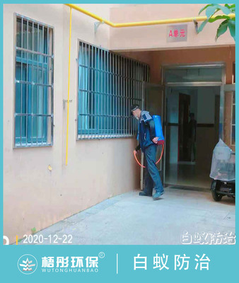 萬寧市山海和灣小區(qū)二期白蟻防治12月22日