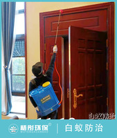 儋州市海花島別墅白蟻防治
