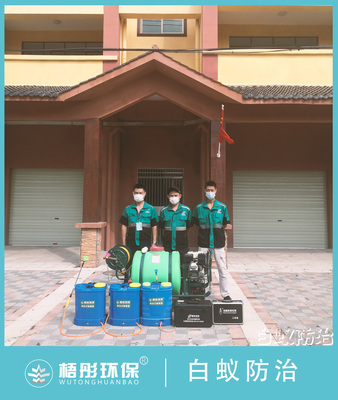 白沙农场茶园小镇白蚁预防