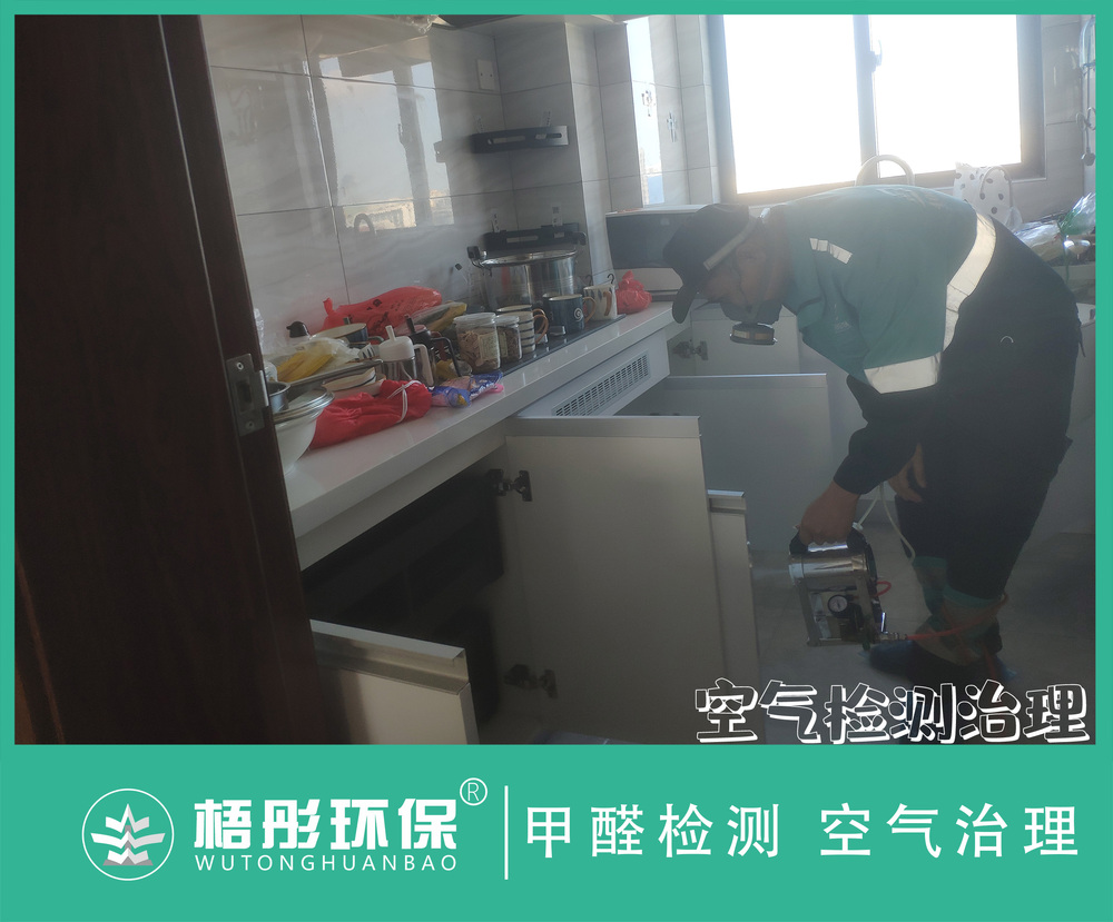 橫版照2片模板.jpg