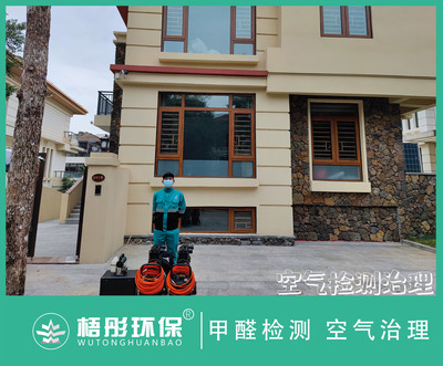 海口美靈湖別墅甲醛治理