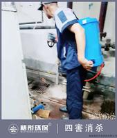 ?？谔煊哟缶频辏ü矃^域、餐廳、廚房消殺）