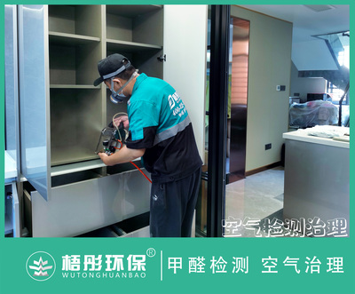 海口美林谷家庭甲醛治理