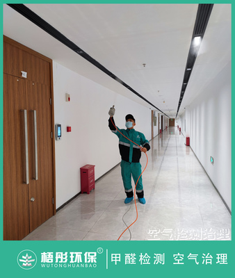 海南省公安廳甲醛治理