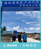 琼中县湾岭镇（湖镜天诚）项目白蚁基础预防