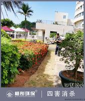 天佑大酒店（5月18日四害消殺）