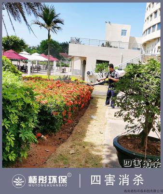 天佑大酒店（5月18日四害消殺）