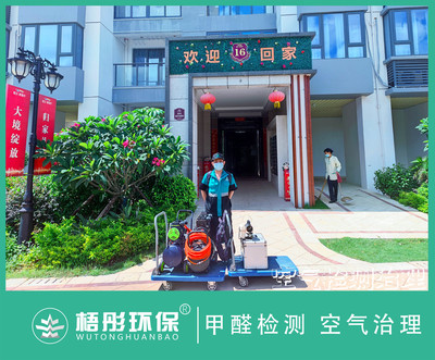 海口美麗沙天瑞家庭甲醛治理