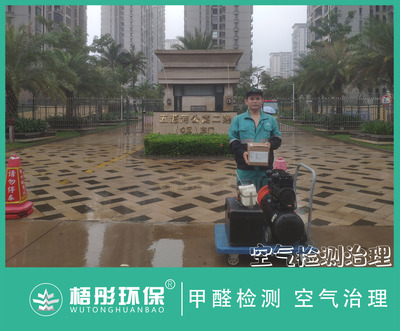 海口五源河二期家庭除甲醛